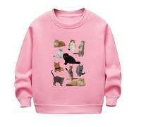 HAOLEI Sudadera Niña Sin Capucha,Casual Cuello Redondo Sudaderas con Estampado Holgados Camiseta Manga Larga Básico Pulllover Top Jersey de Otoño e Invierno para Niño Niña Ocio Suéter 2-12 Años