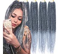 Haolocs Lote de 6 unidades (14/18/24/30) pulgadas 3 cajas de trenzas trenzadas de ganchillo de 1 cm de diámetro fino (T1B/gris, 18 pulgadas)