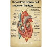 Haosensix Letrero de metal con diseño de corazón humano y anatomía del corazón, póster vintage, guía de consultorio médico, placa retro para clínica, hospital, decoración de pared, 8 x 12 pulgadas
