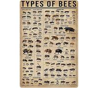 Haosensix Letrero de metal con texto en inglés "Types Of Bees" para cocina, jardín, restaurante, granja, centro comercial, bar, cafetería, hombre, cueva, granja, decoración de pared, 30,5 x 40,6 cm