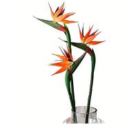 HAOSHICS 3 flores artificiales de pájaro del cielo, Strelitzia de pájaro del paraíso, plantas de seda sintética para el hogar, oficina, boda, decoración de centro de mesa