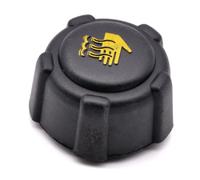 HAOTOM Tapón del depósito de agua refrigerante Para Dacia Dokker Duster Logan Sandero Para Nissan Juke NV200 NV400 Qashqai Para Opel Movano Vivaro Para Renault Clio Kadjar Captur Espace Avantime