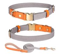 Haoyueer Collar de perro de nailon, con hebilla de seguridad de metal, collares y correa ajustables de cuero y nailon para mascotas para perros pequeños, medianos y grandes (S, gris)