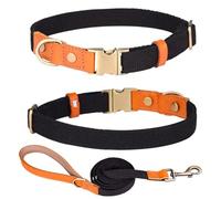 Haoyueer Collar de perro de nailon, con hebilla de seguridad de metal, collares y correa ajustables de cuero y nailon para mascotas para perros pequeños, medianos y grandes (M, negro)