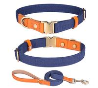 Haoyueer Collar de perro de nailon, con hebilla de seguridad de metal, collares y correa ajustables de cuero y nailon para mascotas para perros pequeños, medianos y grandes (L, azul oscuro)