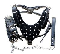 haoyueer Collares de perro con tachuelas afiladas, arneses y correas de cadena, juego de 3 piezas a juego para perros medianos y grandes, mastín, boxeador, Bull Terrier (L, negro)