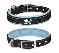 Haoyueer Cómodo collar de perro acolchado de neopreno suave, collar reflectante para mascotas, collar de perro de nailon ajustable resistente para todas las razas perros grandes (XL, azul claro)
