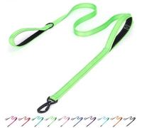 haoyueer Correa reflectante de nailon para perro, correa reflectante acolchada de dos asas para entrenamiento de seguridad nocturna, ideal para perros de razas pequeñas, medianas y grandes (verde, 6 x