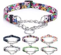 haoyueer Martingale - Collar para perro, cadena de acero inoxidable, collar de entrenamiento sin tirones con diseño de flores para perros grandes, medianos y pequeños (L, fuegos artificiales)