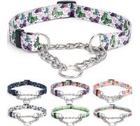 haoyueer Martingale - Collar para perro, cadena de acero inoxidable, collar de entrenamiento sin tirones con diseño de flores para perros grandes, medianos y pequeños (XL, mariposa)