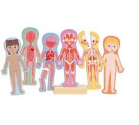 Hape Rompecabezas magnético del Cuerpo Humano