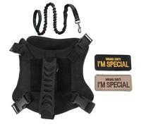 HAPINARY Arnés y Correa Ajustables para Gato Chaleco Antiescape Táctico Transpirable para Viajes Entrenamiento y Senderismo Kit para Gatitos y Gatos Accesorios para Aventuras al Aire