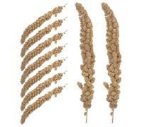 HAPINARY Millet para Periquitos y Loros Golosinas Naturales para Entrenamiento de Periquitos Agapornis Cardenales y Hamsters Snack Nutritivo para Aves Pequeñas y Mascotas