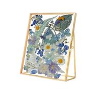 Hapivida Marco de Vidrio y Latón para Flores Secas, Marco Geométrico Transparente con Soporte para Plantas, Decoración de Pared Vintage, 14x16cm, for Galería de Bricolaje y Herbario