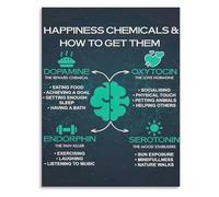 Happiness Chemicals Motivational Poster Brain Science Canvas Wall-Art Educational Decor for Classroom Office and Study(Framed,16x24inch(40x60cm))