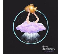 Happy Accidents - Everything But The Here And Now [Vinilo]