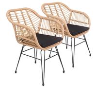 Happy Garden Lote de 2 sillones Cinta de ratán sintético con Cojines, Resistentes a los Rayos UV e hidrófugos