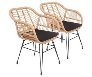 Happy Garden Lote de 2 sillones Cinta de ratán sintético con Cojines, Resistentes a los Rayos UV e hidrófugos