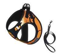 Happy-Halloween-Vector Print - Arnés para perro, chaleco con correa para mascotas para perros pequeños a medianos, perfecto para aventuras al aire libre