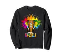 Happy Holi Festival India Colors Elephant Hindu Spring 2025 Sudadera