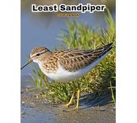 Happy Sandpipers Coloring Pages: Playful Shorebirds for Creative Fun! (BIRDS COLORING BOOKS)