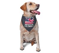 Happy Treason Day Ungrateful Colonials Spring Dog Bandanas Boy Bulk Puppy Pañuelo Ajustable Suave Triángulo Baberos Accesorios para Perros Pequeños Medianos Grandes Gatos Blanco