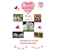 HAPPY VALENTINE'S DAY: BEST WISHES FOR US IN THIS BEAUTIUL MONTH BABIES