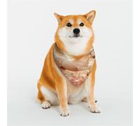 Happy White Horse - Bandanas para perros pequeños, medianos y grandes, suaves y cómodas para niños y niñas, ideal para mascotas