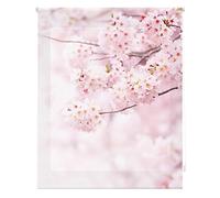 HappyStor HSP93006 Estor Enrollable Estampado Digital Paisajes Tejido Traslúcido 100% Poliéster Medida Total Estor:120x180 (Solo Ancho Tela:116-117cm.)