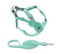 Happyyami 1 Juego De Correa Tipo Chaleco para Pasear Perros Arnés para Perros Pequeños con Asa Arnés para Perros Salchicha Cachorros Correa De Entrenamiento para Perros Pequeños Arnés