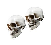 Happyyami 2 Piezas Molde De Cráneo Humano Artificial Cabeza Humana Modelo De Halloween Cráneo Decoración Modelo De Esqueleto Humano Modelo Anatómico De Cabeza Humana Interior Réplica