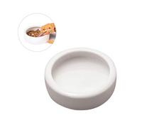 Happyyami 2piezas Comedero Antideslizante para Mascotas De Tazones Redondos para Alimento De Camarones y Peces para Reptiles y Decoración De Acuarios