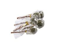 Happyyami 5piezas Palitos De Pasto para Mascotas Juguetes Masticables Interactivos para Conejos Hámsters y Cobayas Ayuda Limpiar Dientes y Fortalecer La Relación Tu Mascota