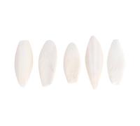 Happyyami 6piezas Huesos De Cuttlefish para Mascotas Juguetes Masticables para Limpiar Dientes y Mantener La Salud Diversión y Ejercicio para Perros y Otras Mascotas