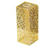 Happyyami Maceta Flotante Mini Ollas Al Aire Florero para Decoración para Centros De Mesa Tarro De Terrario Florero Pequeño Decorativo Lindo Florero Botellas Hortensia Golden Planchar