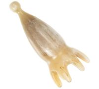 Happyyami Peine De Cuerno De Buey Para Masaje Del Cabelludo Peine De Masaje De Cuerno Cuidado Del Cabello Para Relajación Después Del Entrenamiento Natural