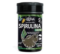 Haquoss Spirulina Gran Gourmet Comida en Copos para Peces Vegetariano, 100 ml/46 Gr