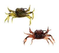 harayaa 1 Caja Señuelo para Pesca Artificial Cebo Cebo de Goma Suave Aroma Rápido Material Adecuado para Pesca de Agua Salada