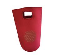 harayaa Bolsa de Cristal, Organizador Y Funda Protectora con Acolchado Grueso, Fabricada de Buceo Y con Asas para Un Viaje Más Cómodo, 4 pulgadas