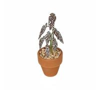 harayaa Mini Planta en Maceta 1 12 Accesorio de Casa de Muñecas Ornamento en Maceta Decoración de Miniatura Figura con Hojas Detalladas y Maceta Estilo, Marrón