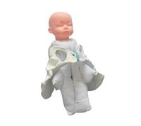 harayaa Modelo de Pelvis Femenino Demostración de, Estudio Práctico Muestra de Pelvis Y Modelo Infantil, Equipo Educativo