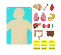harayaa Rompecabezas de del Cuerpo Humano, Tablero de Fieltro para Aprender Las Partes del Cuerpo, Tablero de Fieltro para Enseñar Las Partes de