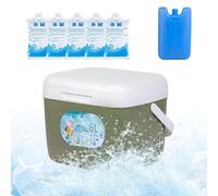 Hard Cooler Box - 6L Leakproof Insulated | Portable, with Ice Packs