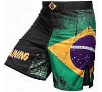 Hardcore Training Pantalones Cortos Hombre MMA Shorts de Entrenamiento para BJJ Boxeo Grappling Fitness No Gi (FR/ES, Letras, XS, Regular, Regular, Black Green Yellow)