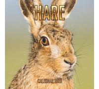 Hare Calendar 2026: 14-Month Organizer from Nov 2025 to Dec 2026 | Perfect for Home, Office, School & Family Scheduling, For Men , Women , Girls , Boys