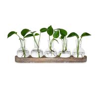 Harewtwy Estación de Propagación Jarrones de Vidrio Decoración: Terrario de 5 Plantas con Bandeja de Madera Lavada en para Sala de Estar Oficina