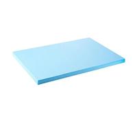 Harilla Bloque de Espuma Artesanal, Base para dioramas, Alta Densidad, Bricolaje, lámina de Espuma para construcción de paisajes y Escultura, 50 X 60 X 2 Cm