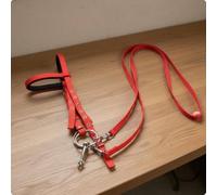 Harilla Brida para Equitación con Cabezada Ajustable Filetes Conjunto Hípico Adecuada para Trabajo Diario Paseos por Campo Instrucción Cuadras, Negro, Grande