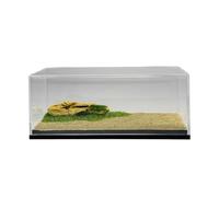 Harilla Caja de exhibición de Modelos de Autos fundidos a presión a Escala 1/64, Caja de Almacenamiento con Base de Paisaje arenoso, de exhibición de Modelos