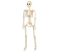 Harilla Esqueleto de Halloween, Esqueleto Humano de Imitación con Articulaciones Móviles, Decoración Realista para Fiestas Al Aire Libre, Interior.